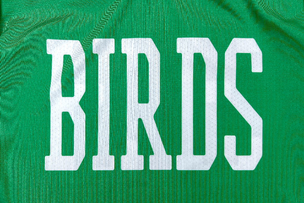 BIRDS Air Mesh Jersey — 5