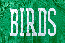 BIRDS Air Mesh Jersey — 5